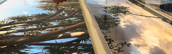 Close-up of photo's reflective surface with tree reflections