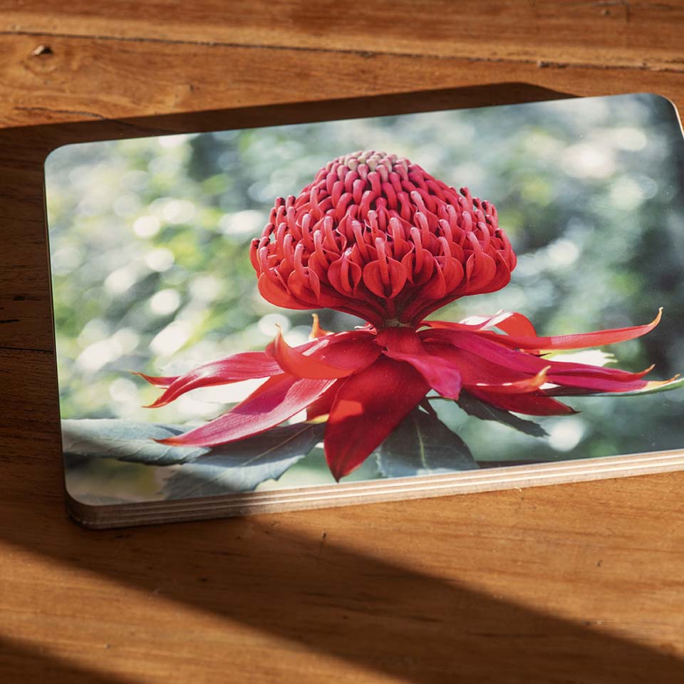 Custom Print Placemats - Set of 6