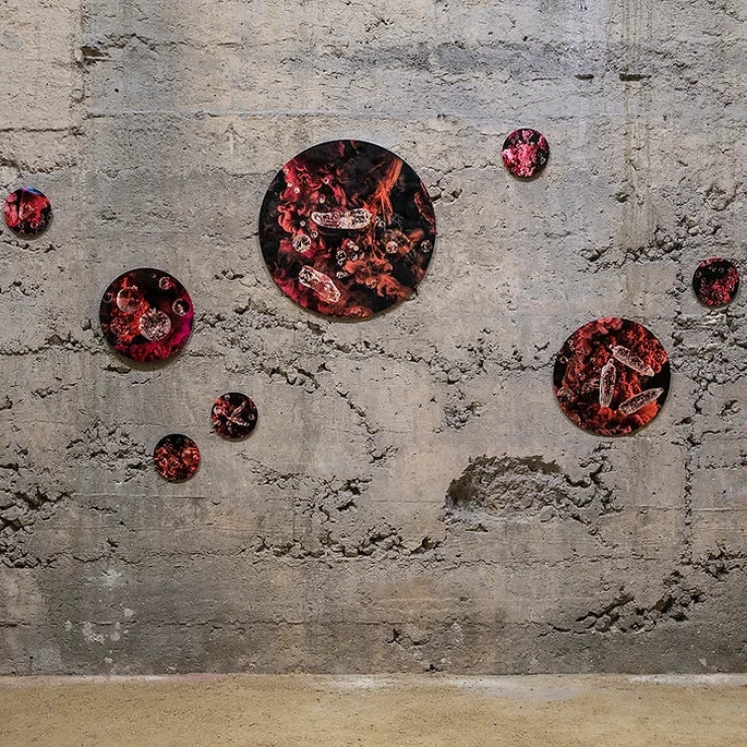 Janet Taverner The Red Project https://www.janettavener.com/copy-of-the-last-seed