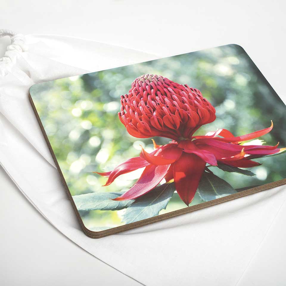 Custom print placemats with linen storage bag