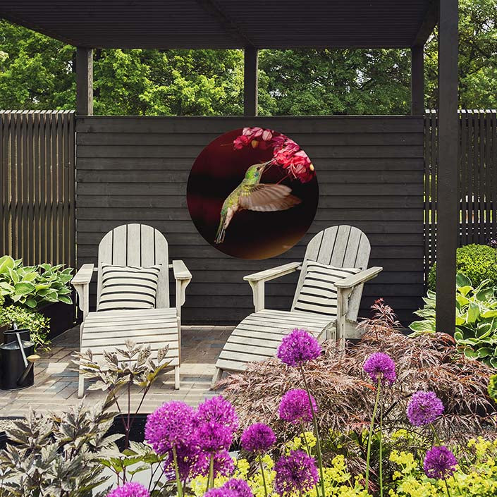 Outdoor Circular Metal print of bird in garden