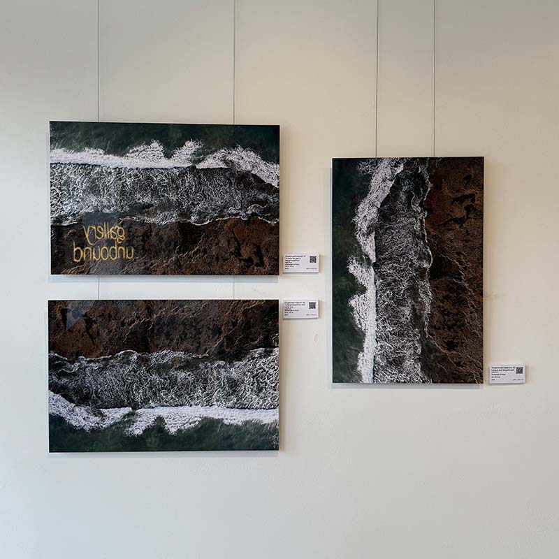 Celia Furt art on metal in gallery unbound